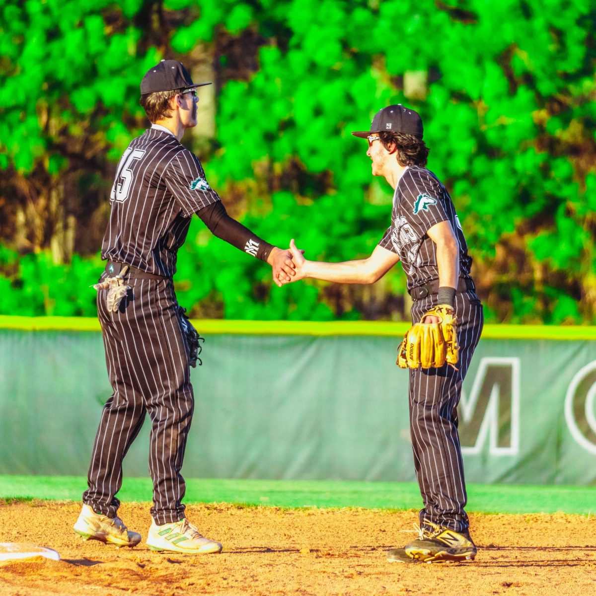 Willie_Prince_Kennesaw_Mountain_baseball.62